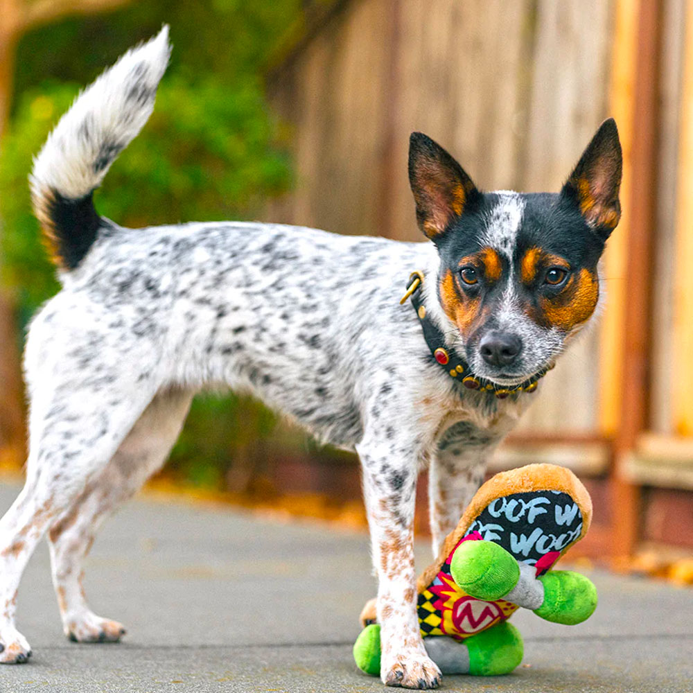 play skateboard4
